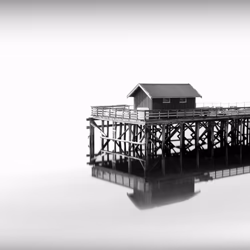 Item #70830499516803690530292841418532272152455647226891505709154461707657908584449 Media