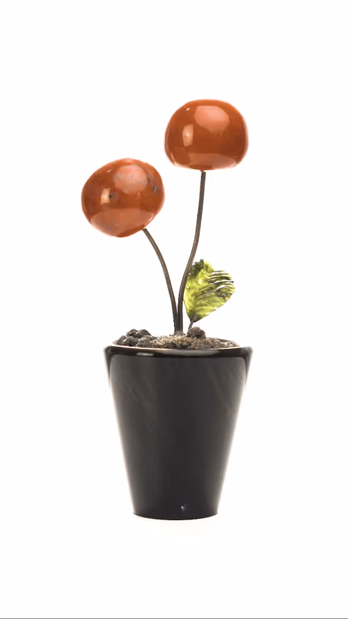 Item #4710524236615757077748399013286708769594205771246107789391314366636069224455 Media