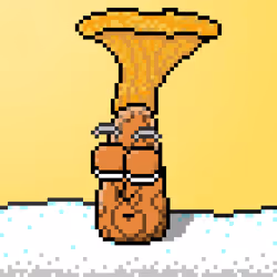 33741781216748986518517832568595493503429706584982134247768926181135071838209