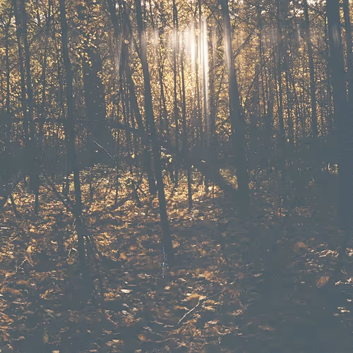 Item #39781805688626842994046507888546694714899270474383352618679520639099393277953 Media