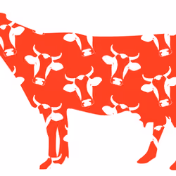Funky Cow #27