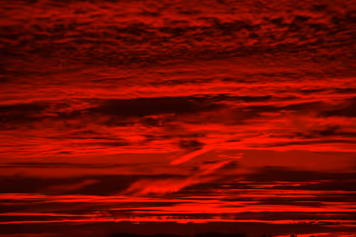 Item #102771070306004819985898819999052787652815039064996374663455446012597224079361 Media