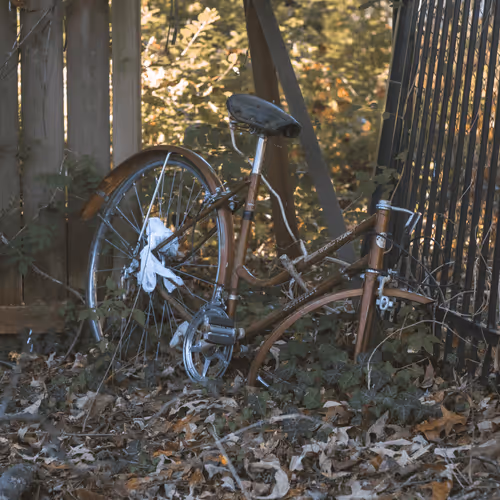 Item #108333172836631629328696584714053398631603269563571358519615745488937545629697 Media