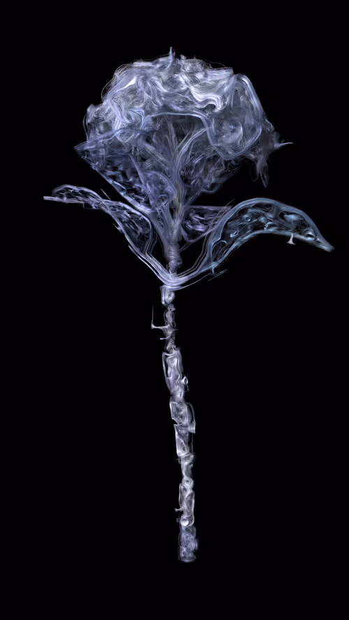 Item #106063415872419925772459360600448677300777030807561934217893798259708917710849 Media