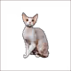 7917608709568526609042417006664391966594597627541652161018316720733081829377