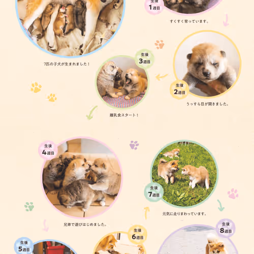 Untitled Collection #192609877