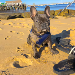 99031261785432219130552668818269695456905868997165113515571762459988719566849