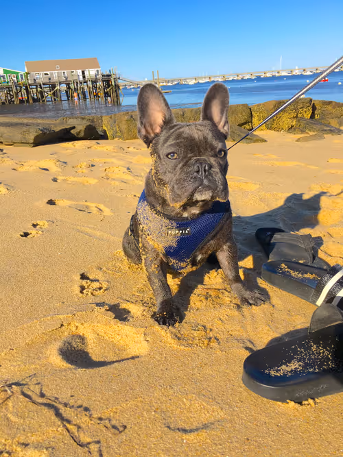 Item #99031261785432219130552668818269695456905868997165113515571762459988719566849 Media