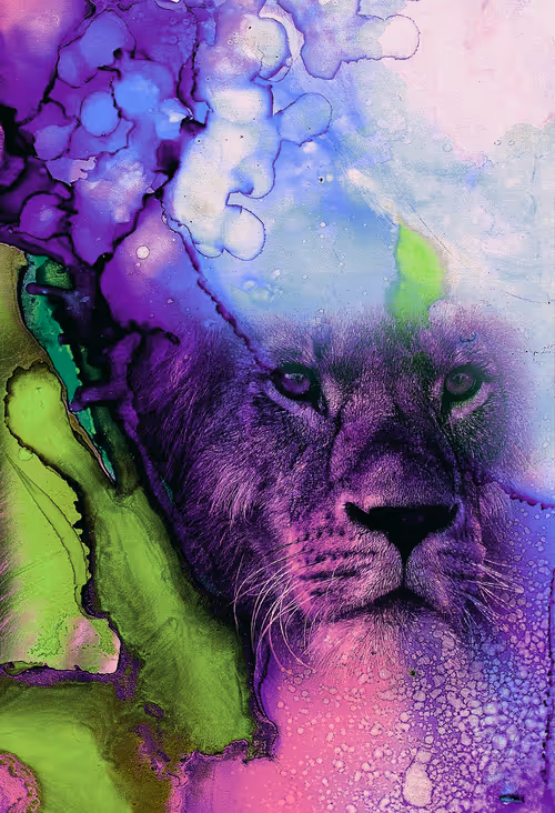 Item #62932370987259654146836953103077963646438991634768916537201216260386576138241 Media