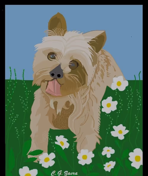 Item #2719652509030203085310659099978947857056197317648672826236285603901637394433 Media