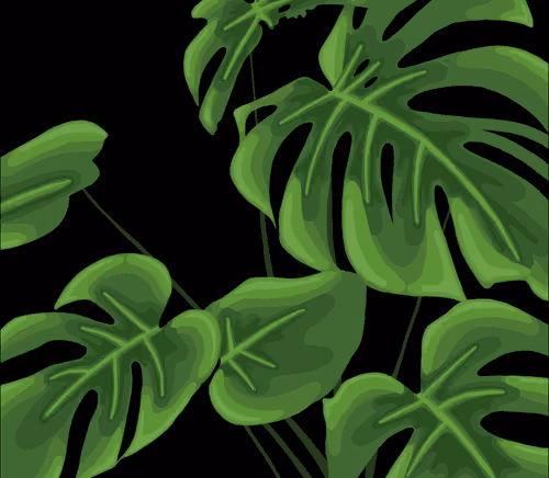 Item #24740911259496023571887242949920708059364735152091131298789663967223841030145 Media