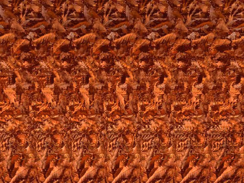 Item #24989702942326065116153480508525724290061186855920669131466917276823125491713 Media