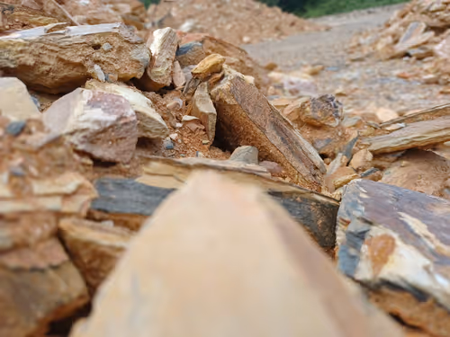 Item #32708508987210996203505439108186848896243903998336501445034175492534231367681 Media