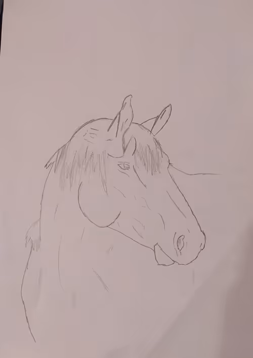 Item #1100447201797492375878128253821834578006418422054078721488142167022766129153 Media