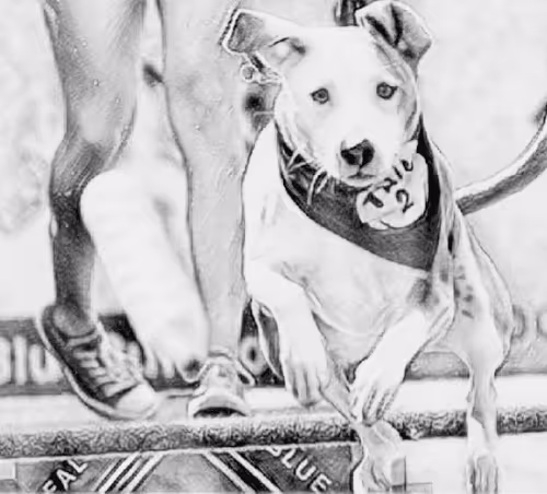 Item #23143313246472061328071561115701105421589606567298838424350448135743429672961 Media