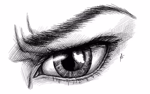 Item #90565886000024527620675431555324542986741614615978234586158564550017114177546 Media