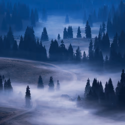 Item #5251330199677453137602023224784085473463322177594998439991548924085040840705 Media