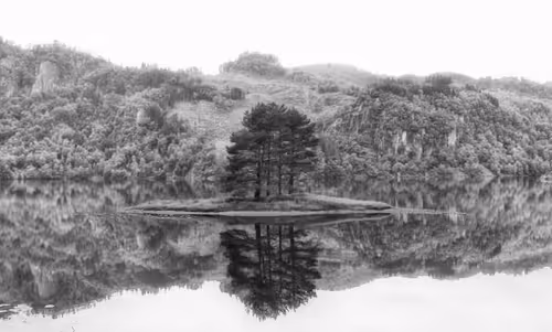 Item #17246773967106427395426250000565453120833818394642551124170626606304388448257 Media