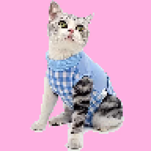 91910287960762603597667557624097333532700135261074982792072954922912154910721