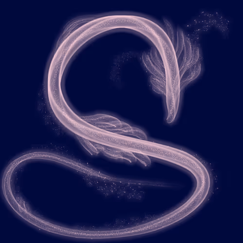 Item #79922358363691255321444568387952983801156131754257850446438884499319085334529 Media