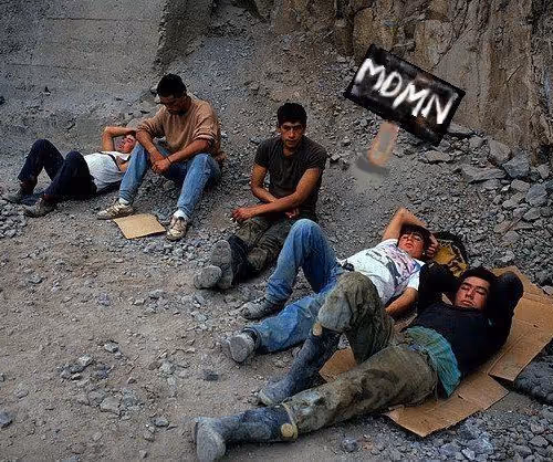 Untitled Collection #219946028