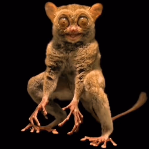 Untitled Collection #172982317