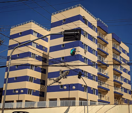 Item #58394047908970311376065937919186859287359681274732256848795643011557687820289 Media