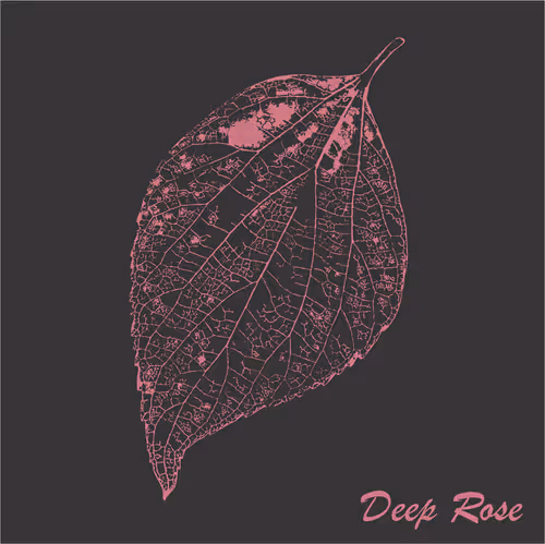 Item #40167138637940562108431742001123872206105593199433866487640627820874138910721 Media