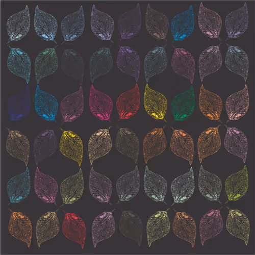 Item #40167138637940562108431742001123872206105593199433866487640627794485859844097 Media