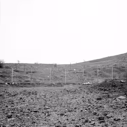 109162157552346088047496633038404394118504199992061596446112929313759594283009