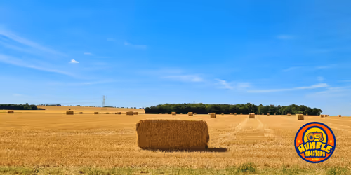 Item #35863194083128256797647772425284652682645032595179500226087347090034572394497 Media