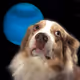 63085957130216624636248423642942812488850991077571032423490426891256010375169