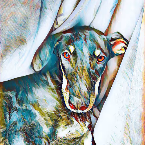 Item #114502827259626556065202230735054284555601964196000331363669140903105377861642 Media