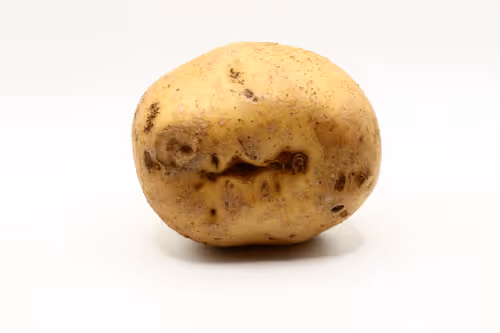 Item #97726151104522163495278545296769301934737660224123995419035737045424161161217 Media