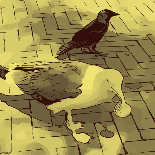 Item #11059950706512792654802825929225580501304675851141237056698729654360146444293 Media