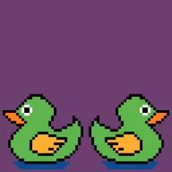 Duck#74