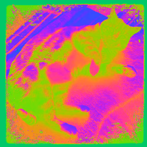 Item #95215853777198421762099953627602623456187651194256131827097625862443267784754 Media