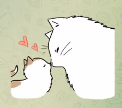 cute