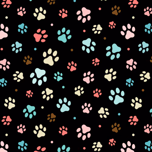 31081804352330578596568685091517160537930858517835942894700269914146429992961