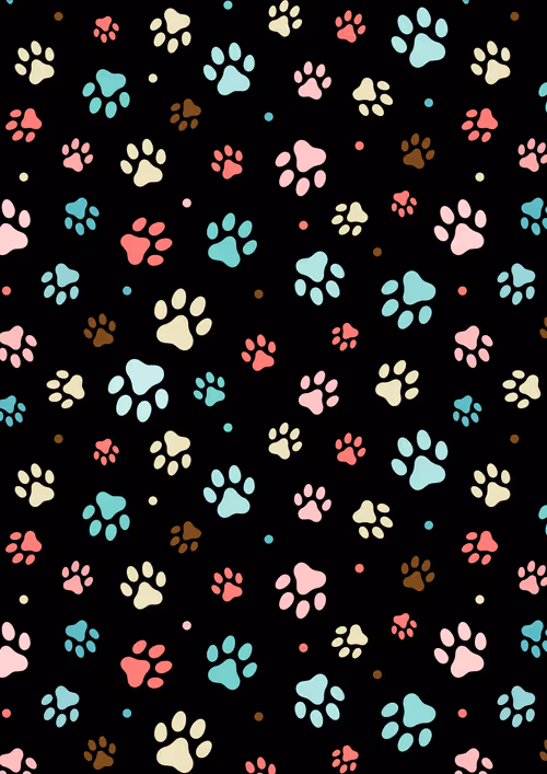 Item #31081804352330578596568685091517160537930858517835942894700269914146429992961 Media