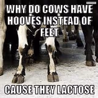 Item #50019202249894892371434277918318181364623497082798944916930856152157713858561 Media