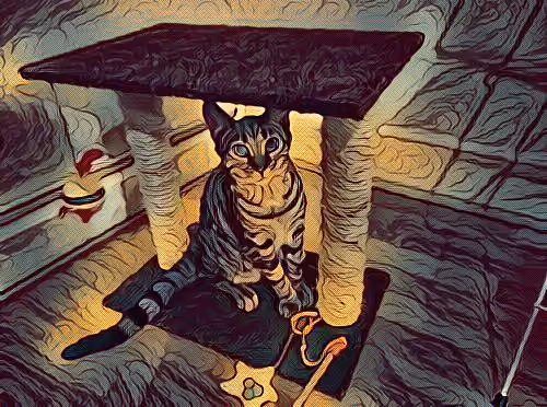 METADARKCAT #109