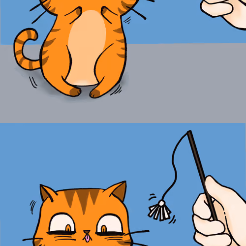 Excited cat #001