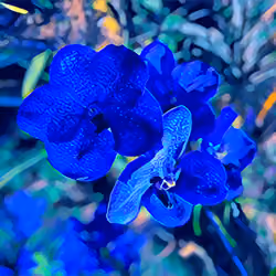 NFT Botanical Garden #4