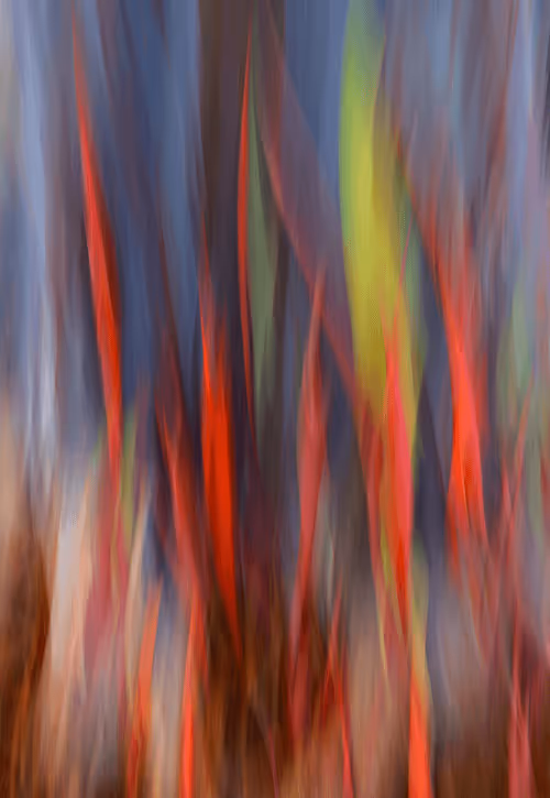 Item #23265726314410109476129301555838572111439838682222879854994044457532444901377 Media