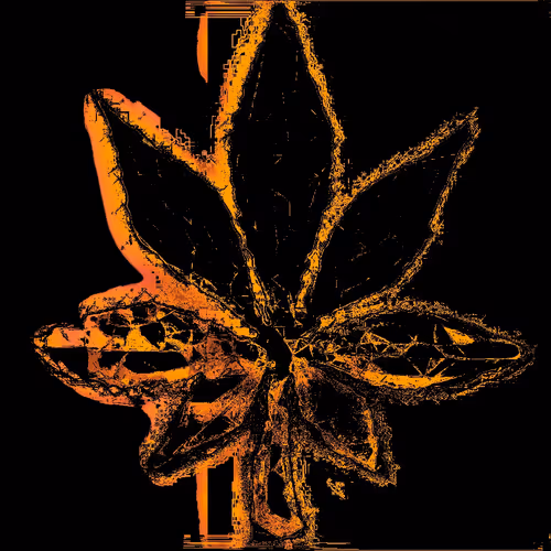 Item #38061558672569619382459871877364344756388492459025547974353264404263035994113 Media