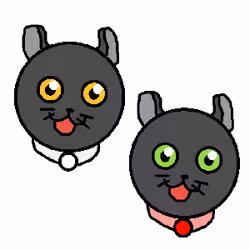 Shinju and Bara cats #006