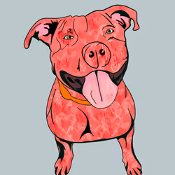 33776814446801863454689231078756073467776047222649672162061693545348750901249