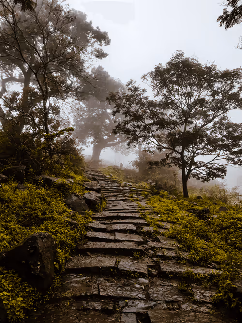 Item #48948276365238912954567628473331808806147926200792194996931408194724060725249 Media