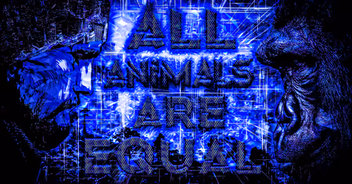 Item #48790520787155310426102062731270564561928034817995506544027698491974767084020 Media